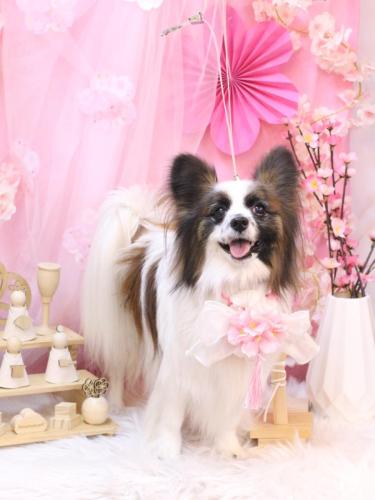 20250330マリーちゃん